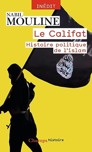 Stock image for Le Califat: Histoire politique de l'Islam (Champs histoire) (French Edition) for sale by Librairie l'Aspidistra