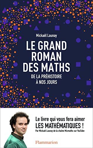 Stock image for Le grand roman des maths : de la pr histoire  nos jours (French Edition) for sale by ThriftBooks-Atlanta