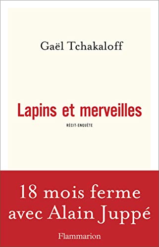 9782081383609: Lapins et Merveilles (French Edition)