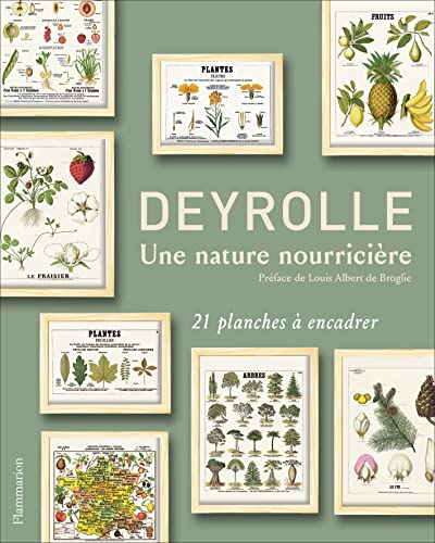 Stock image for Deyrolle, une nature nourricire : 21 reproductions  encadrer for sale by medimops