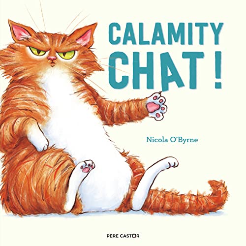 Beispielbild fr Calamity chat! zum Verkauf von medimops