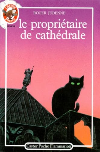 Beispielbild fr Le proprietaire de cathdrale zum Verkauf von secretdulivre