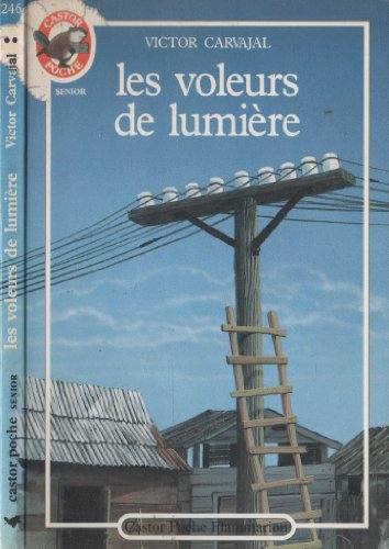 Imagen de archivo de Les voleurs de lumires a la venta por Ammareal