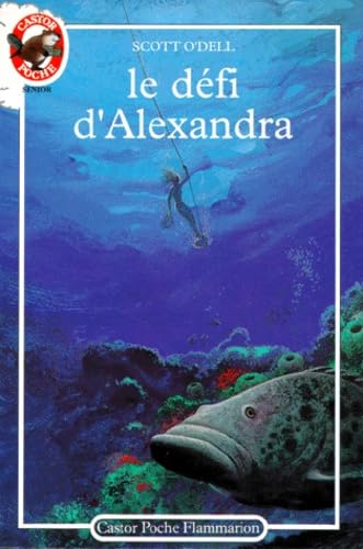 LE DEFI D'ALEXANDRA