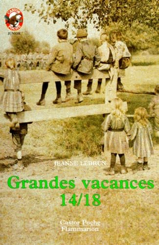 9782081622548: Grandes vacances 14-18: *** JUNIOR