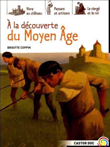 9782081625488: La decouverte du moyen age (A)