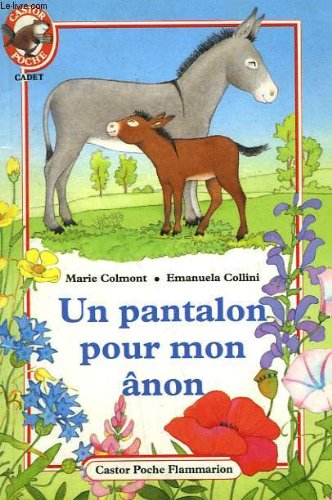 Stock image for Un Pantalon pour mon non for sale by Ammareal