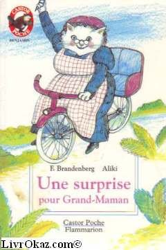 Beispielbild fr Une surprise pour Grand-Maman zum Verkauf von Ammareal