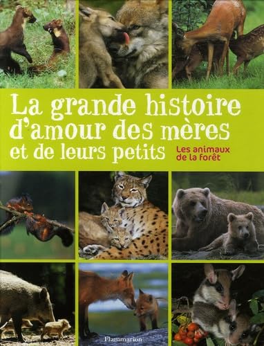 Beispielbild fr La grande histoire d'amour des mres et de leurs petits : Les animaux de la fort zum Verkauf von Ammareal