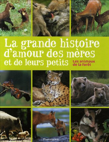 9782081634114: La grande histoire d'amour des mres et de leurs petits - animaux de la fort: LA GRANDE HISTOIRE D'AMOUR DES MERES ET DE LEURS PETITS