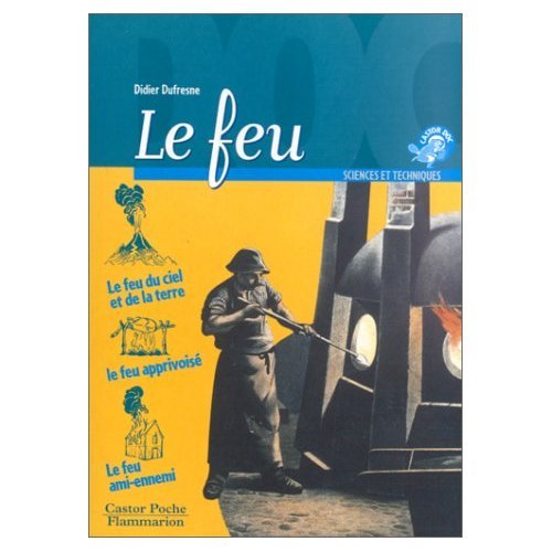 9782081638655: Feu (Le) (CASTOR DOC)