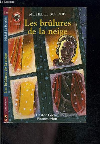 9782081642546: Les brlures de la neige