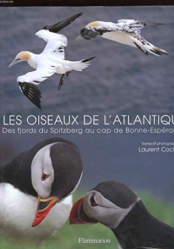 Les oiseaux de l'Atlantique