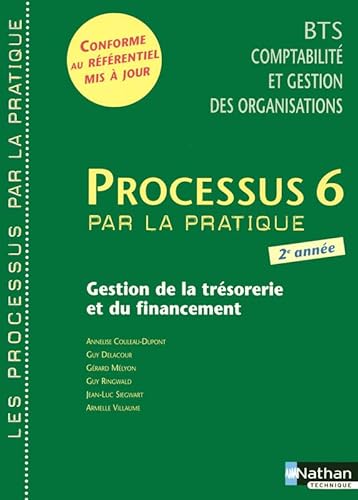 Stock image for Processus 6 par la pratique : Gestion de la trsorerie et du financement BTS CGO 2e anne for sale by Ammareal