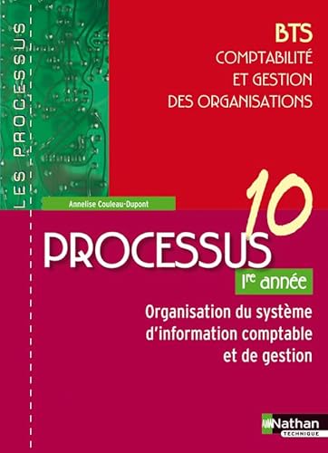 Stock image for Processus 10 - Organisation du systme d'information comptable et de gestion - BTS CGO 2e anne for sale by Ammareal