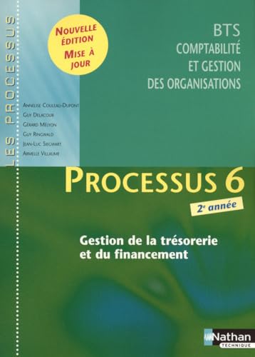 Imagen de archivo de Processus 6 - xGestion de la trsorerie et du financement - BTS CGO 2e anne a la venta por Ammareal