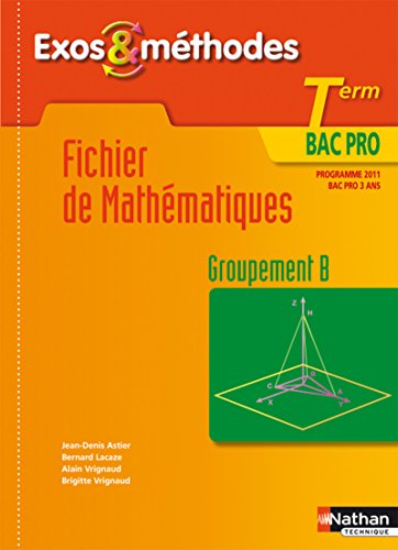 Imagen de archivo de Fichier de mathmatiques Tle Bac pro : Groupement B, programme 2011 a la venta por medimops