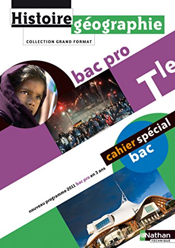 Beispielbild fr Histoire-Gographie Tle Bac pro : Programme 2009 zum Verkauf von medimops