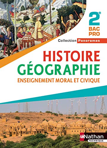 Stock image for Histoire Gographie, Enseignement Moral Et Civique 2de Bac Pro for sale by RECYCLIVRE