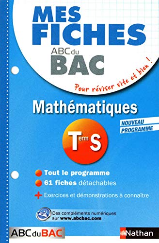 Beispielbild fr Mathmatiques Tle S zum Verkauf von medimops