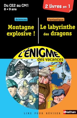 Beispielbild fr Cahier de vacances - Enigmes duo Le Labyrinthe des dragons / Montagne explosive - CE2 - CM1 zum Verkauf von medimops