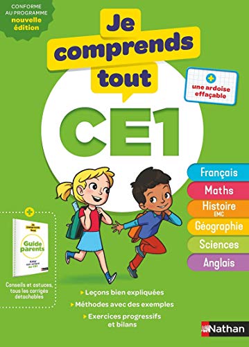 Je Comprends Tout Ce1 Abebooks Petitjean Isabelle