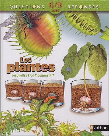 Beispielbild fr Les plantes zum Verkauf von Ammareal