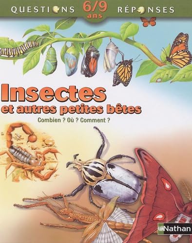 Beispielbild fr Insectes et autres petites btes zum Verkauf von Ammareal