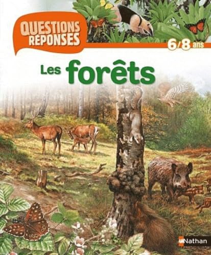 9782092536919: FORETS (AV PRIME CHATEAU FORT)