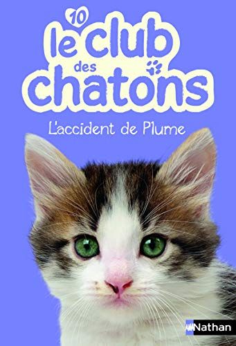 Beispielbild fr Le club des chatons, n 10 L'accident de Plume zum Verkauf von Ammareal