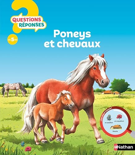 Beispielbild fr Poneys et chevaux - questions ? reponses ! n11 4+ans zum Verkauf von Better World Books