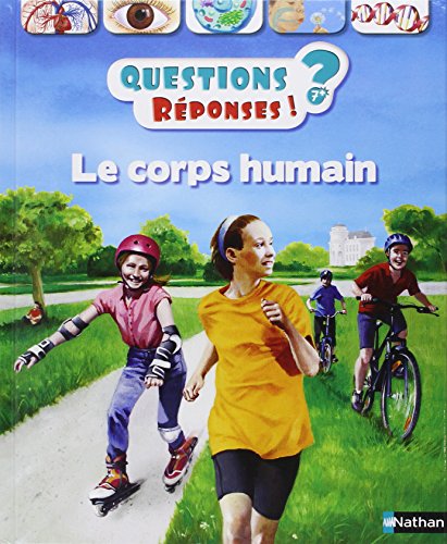 Beispielbild fr Le corps humain - Questions/Rponses - doc ds 7 ans (04) zum Verkauf von Librairie Th  la page