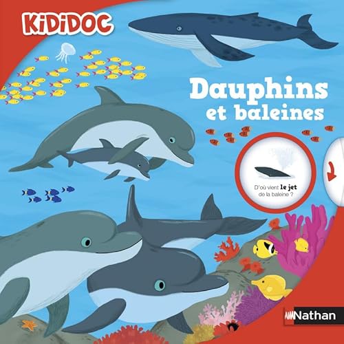 Beispielbild fr Dauphins et baleines - Livre anim Kididoc - Ds 5 ans (41) zum Verkauf von LeLivreVert