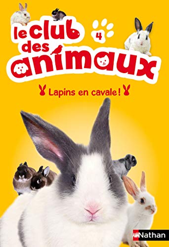 Stock image for Lapins en cavale ! for sale by Ammareal