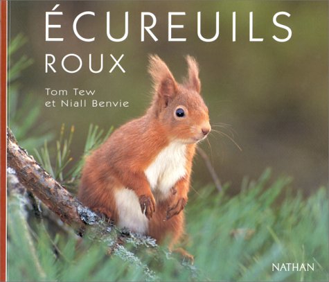 Beispielbild fr Ecureuils roux zum Verkauf von Ammareal