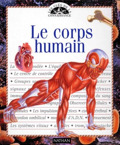 Stock image for Le corps humain for sale by Ammareal