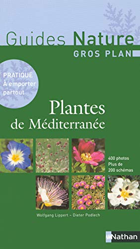 Stock image for Plantes de Mditerrane for sale by medimops