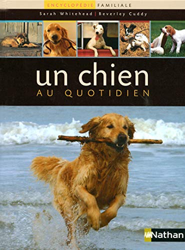 Stock image for UN CHIEN AU QUOTIDIEN for sale by Ammareal