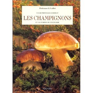 Imagen de archivo de Les champignons et les termes de mycologie a la venta por Ammareal