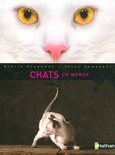 Beispielbild fr Chats Du Monde zum Verkauf von RECYCLIVRE