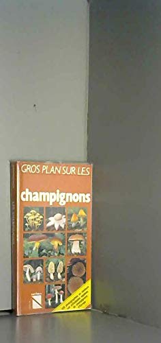 Stock image for Gros plan sur les champignons (Nathan nature) for sale by medimops