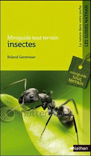 Beispielbild fr Insectes zum Verkauf von medimops