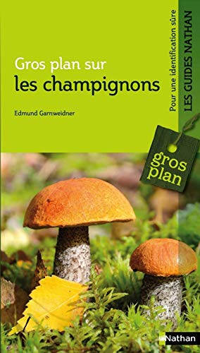 Stock image for Gros plan sur les champignons for sale by Ammareal