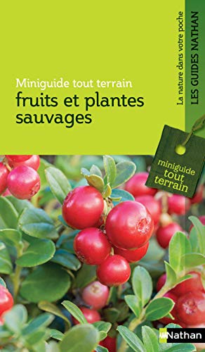 Beispielbild fr Fruits et plantes sauvages : Miniguide tout terrain zum Verkauf von medimops