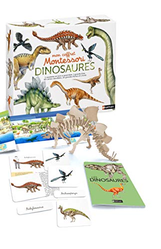 Beispielbild fr Mon coffret Montessori dinosaures - Ds 5 ans zum Verkauf von medimops