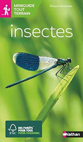 Imagen de archivo de Miniguide tout terrain - Insectes a la venta por Librairie Th  la page