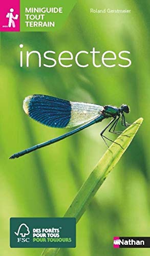 Stock image for Miniguide tout terrain - Insectes for sale by Librairie Th  la page