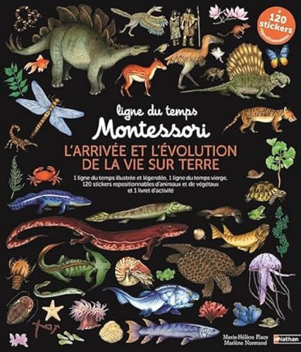 Stock image for Ligne du temps Montessori - L'arrive et l'volution de la vie sur terre for sale by Gallix