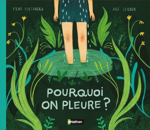 Stock image for Pourquoi on pleure ? Un album sensible et potique, ds 4 ans for sale by medimops