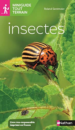 Beispielbild fr Miniguide tout terrain : Insectes zum Verkauf von medimops